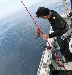 第二清洋丸 釣果