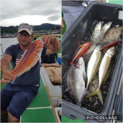 もと明丸 釣果