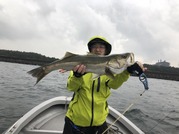 NAGASHIMA MARU(永島丸) 釣果