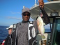 釣船　キティ 釣果