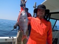 釣船　キティ 釣果