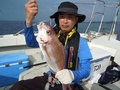 釣船　キティ 釣果