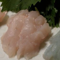 西伊豆釣り合宿レポート〜釣果を調理して食べよう！【tkc_exp氏連載 vol.3】