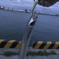 ナチュラルなラウンドヘッドがタチウオの捕食欲を高める！ がまかつ（ラグゼ）LUXXEワインドマスターモニター投稿