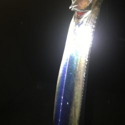 和歌浦港波止スローワインドでタチウオ好釣果☆がまかつ（ラグゼ）LUXXEワインドマスターモニター投稿