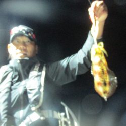 ジギング船 BLUEWATER 釣果