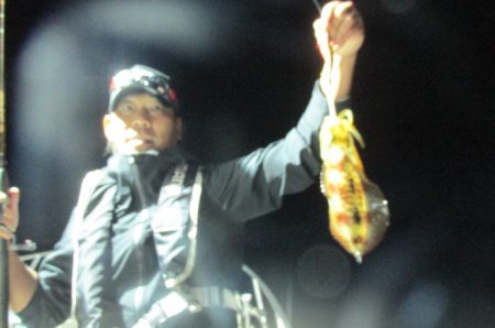 ジギング船 BLUEWATER 釣果