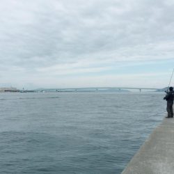 まさかの昼前に…!