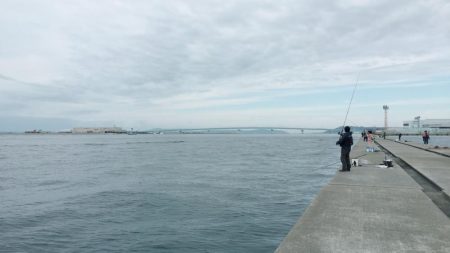 まさかの昼前に…!