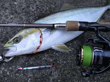 ショアジギング