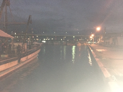 連休のアジング