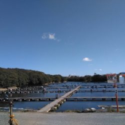 新松池管理釣り場