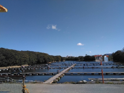 新松池管理釣り場