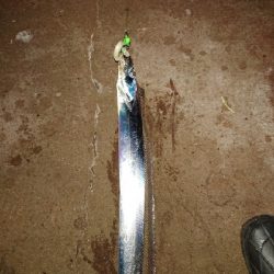 やっと秋が来た！