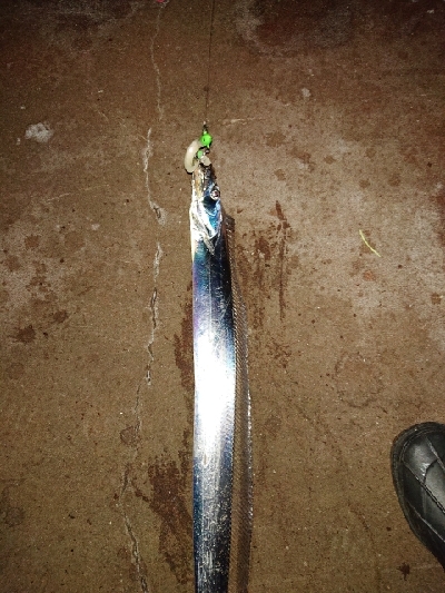 やっと秋が来た！