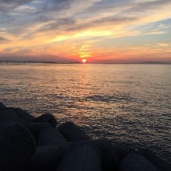 ジギングからのアジング