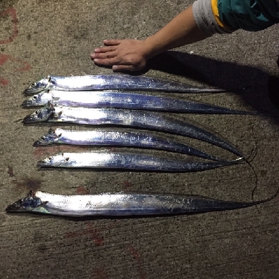 ブルーは諦めて