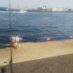 気合い無い方が。