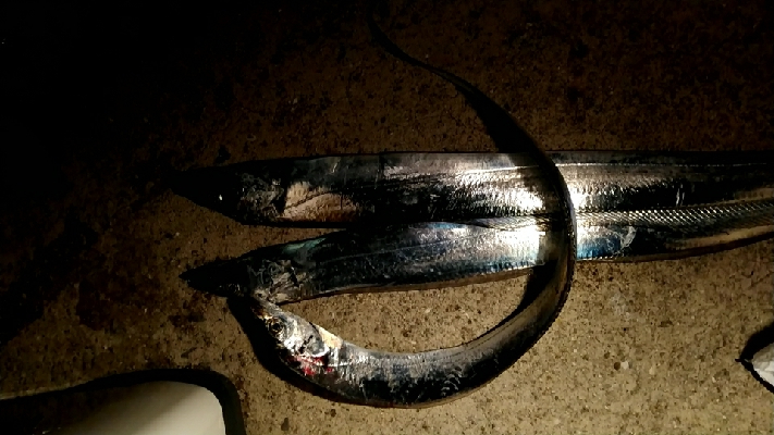 人は多いが釣果は。。。