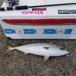 メタルジャッカー