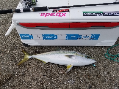 メタルジャッカー