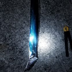 太刀魚ときどき鯵