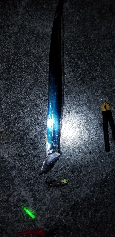 太刀魚ときどき鯵