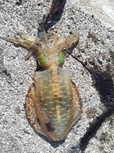 人の方が多いけど快釣