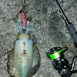 多少の濁りはほしいです。