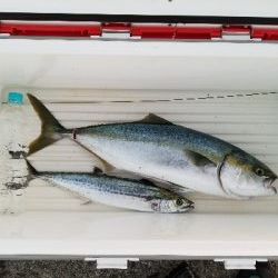 場所選び タナ選び。