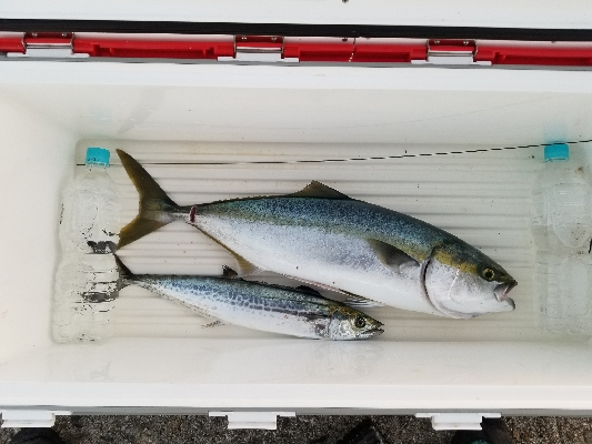 場所選び　タナ選び。