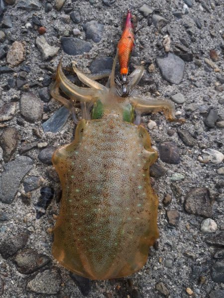 用事のついでに