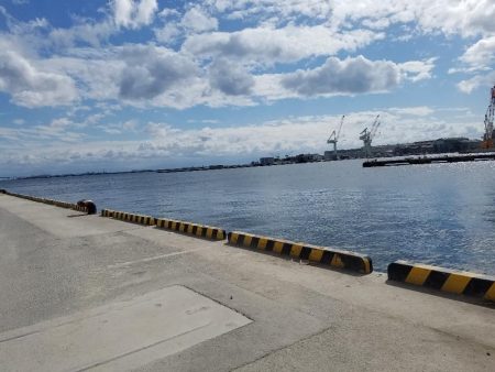 メジロ、サゴシ　ゲット♪