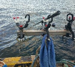 やっぱ秋は良いですね