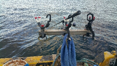 やっぱ秋は良いですね