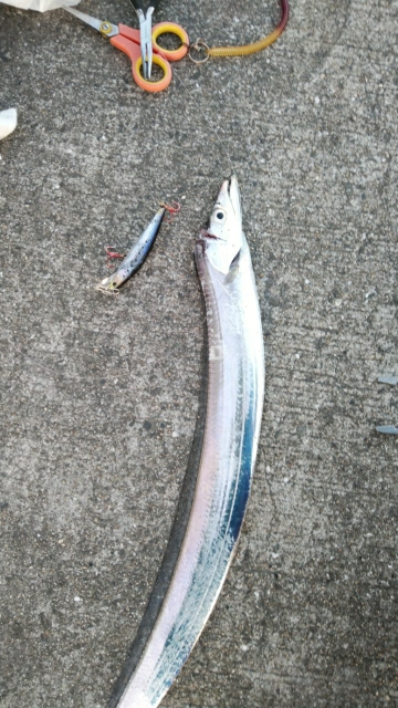 渋いねぇ、まったくおたく渋いぜ