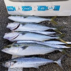 本日ルアー不調につき。