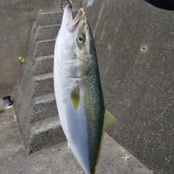 ショアジギングのはずが！