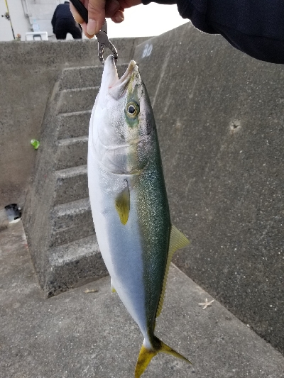 ショアジギングのはずが！