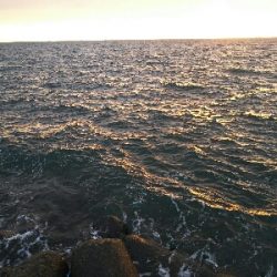 太刀魚2匹だけでした