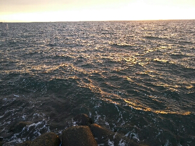 太刀魚2匹だけでした