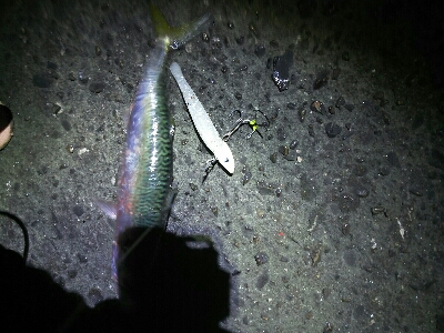 短期勝負はワインドで