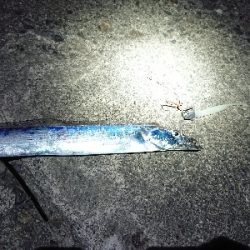 ちょこっと刀狩り