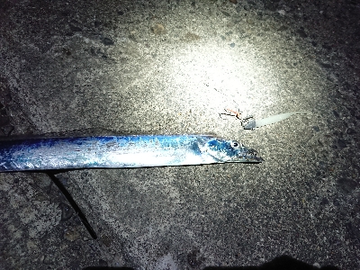 ちょこっと刀狩り