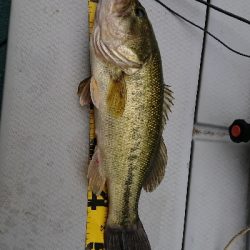 ランカーゲット