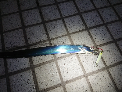 淡路島縦断！刀狩り