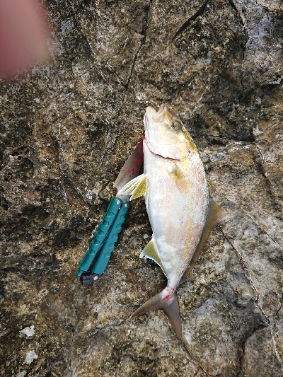 久しぶりの沖磯