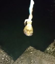 エギング釣行 その32