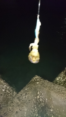 エギング釣行 その32