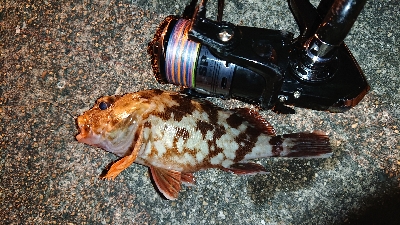 貝塚釣り調査‪‬